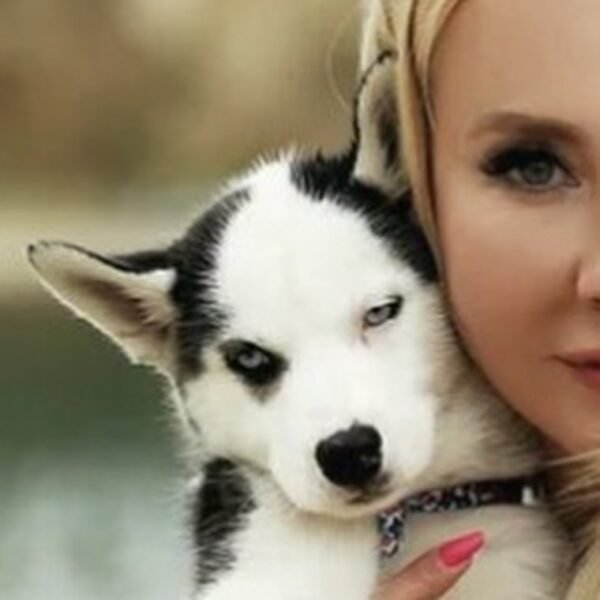 Kelvin, a 4-week-old male Siberian Husky puppy with a white and black coat, sitting on a grassy field.
