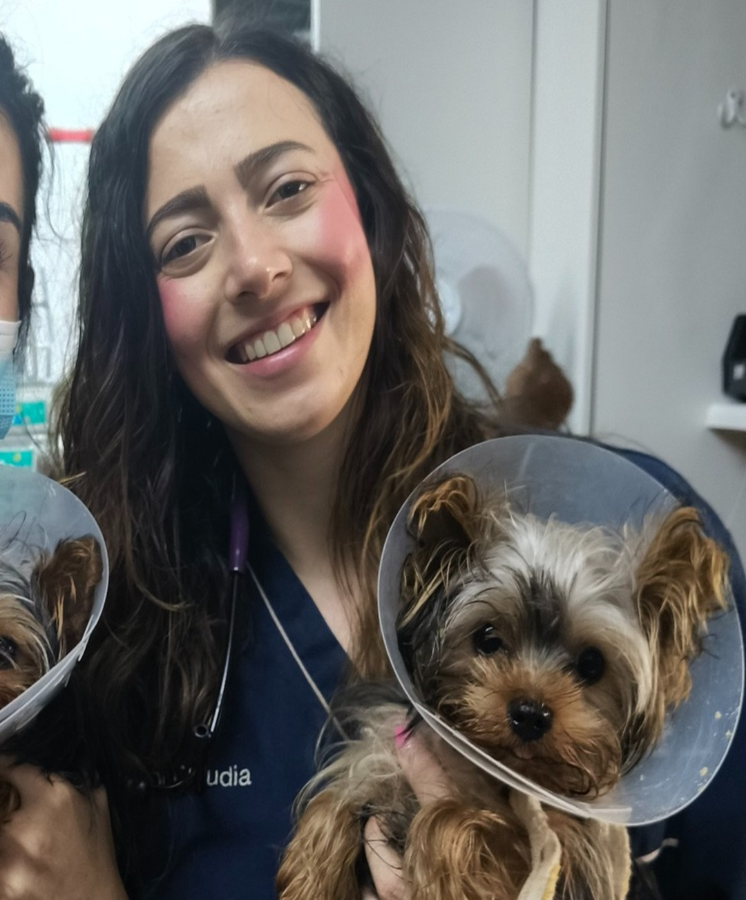 puppy vet check